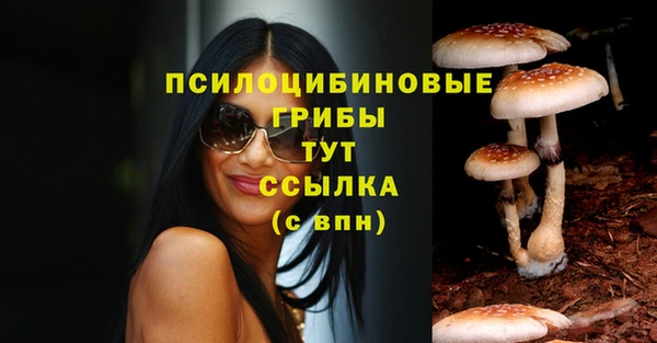 кокс Алзамай